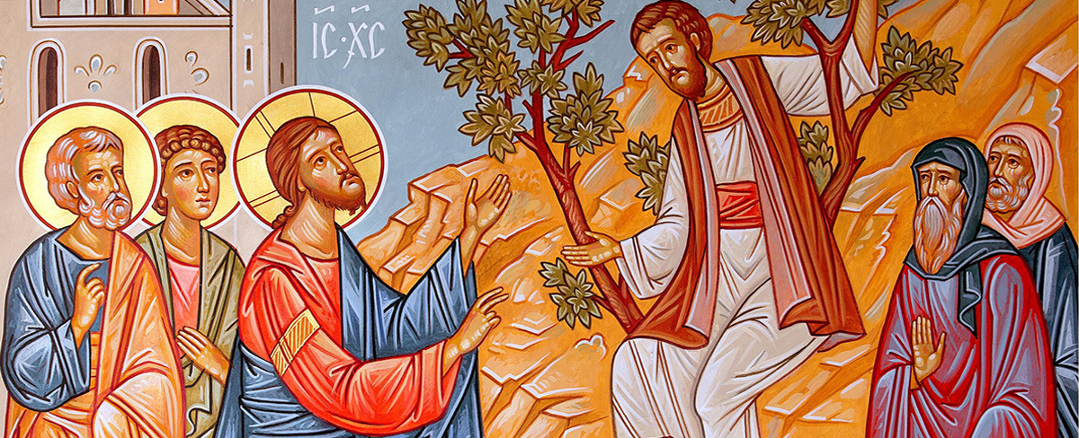 Zacchaeus Sunday