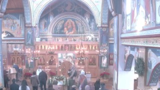 January 25th, 2026: Zacchaeus Sunday - Fr Daniel York